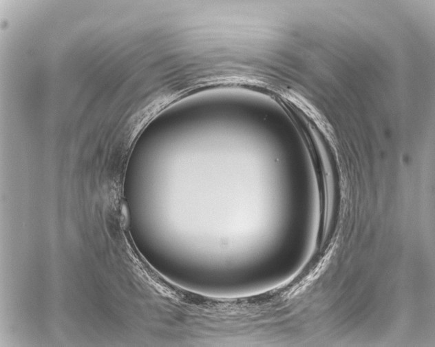 X0000059830993200510241416