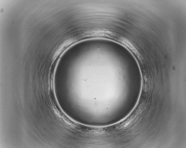 X0000059830994200510241416