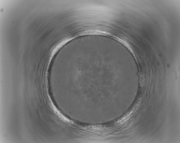 X0000059830995200510241416