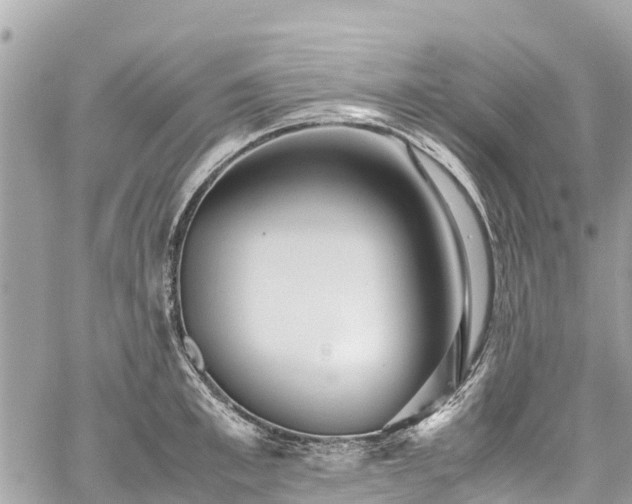 X0000059830997200510241416