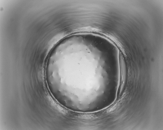 X0000059830998200510241416