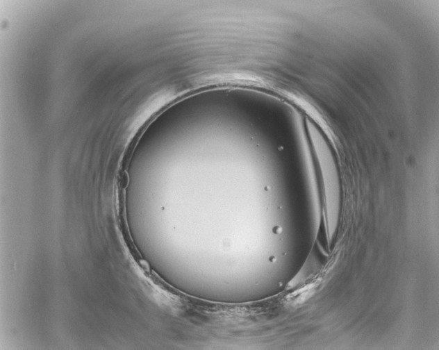 X0000059830999200510241416