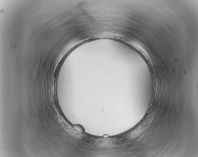 X0000059831000200510241416