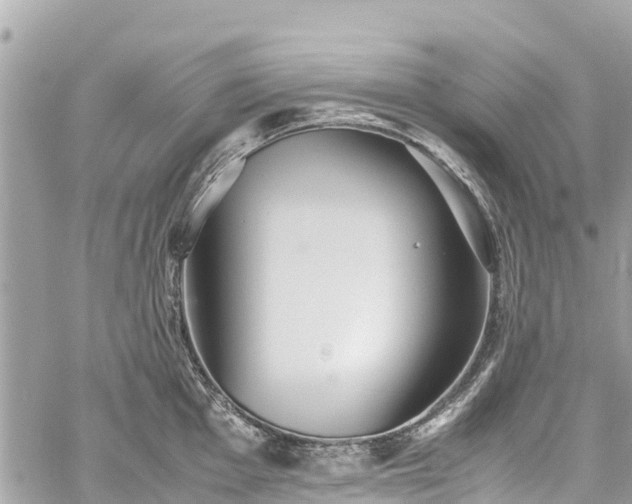 X0000059831001200510241416