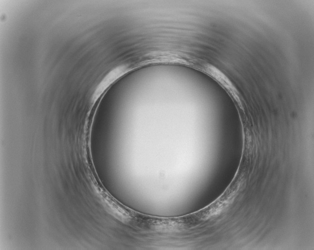 X0000059831002200510241416