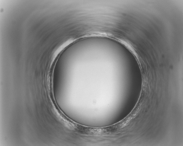 X0000059831003200510241416