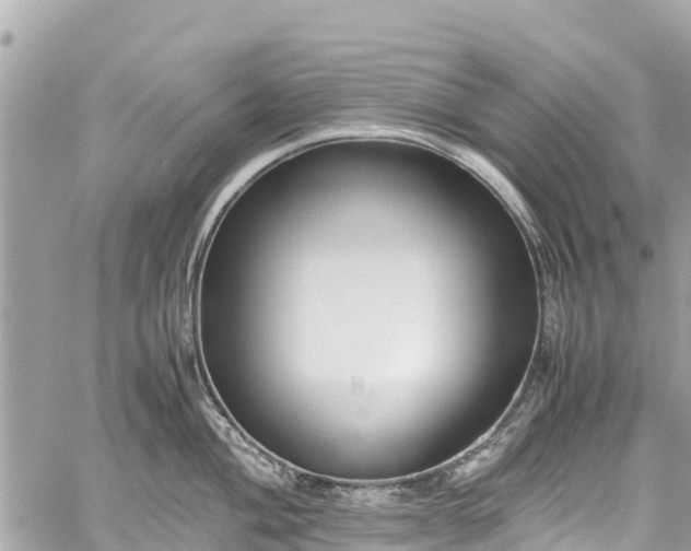 X0000059831004200510241416