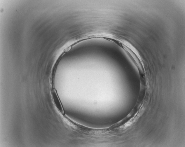 X0000059831005200510241416