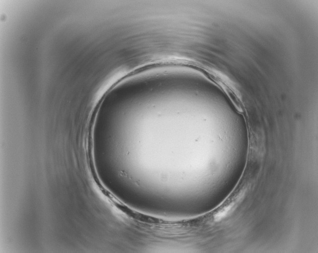 X0000059831007200510241416