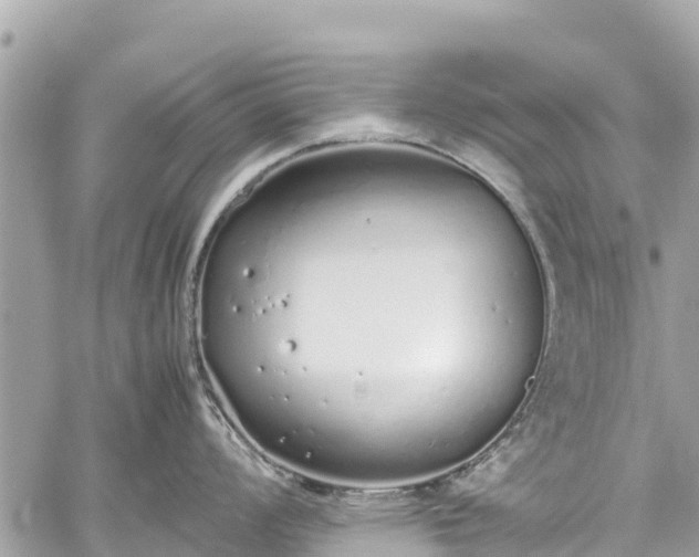 X0000059831008200510241416