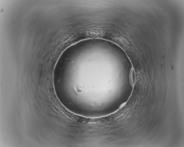 X0000059831009200510241415