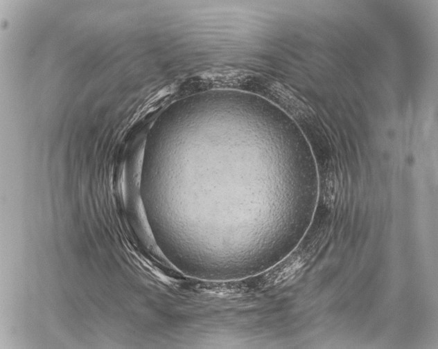 X0000059831010200510241415