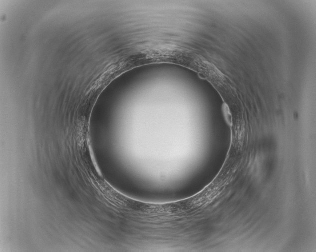 X0000059831012200510241415