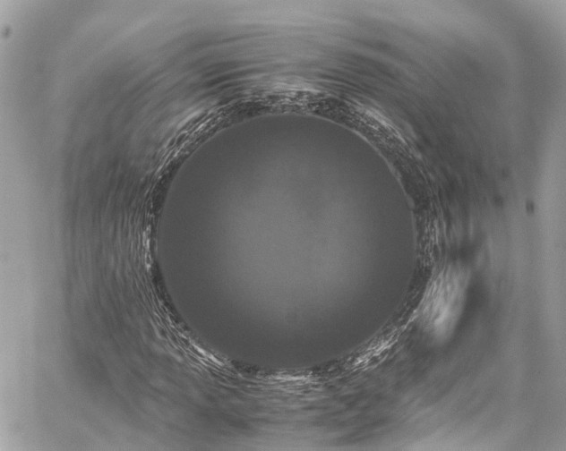 X0000059831013200510241415