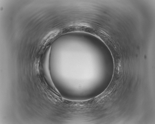 X0000059831014200510241415