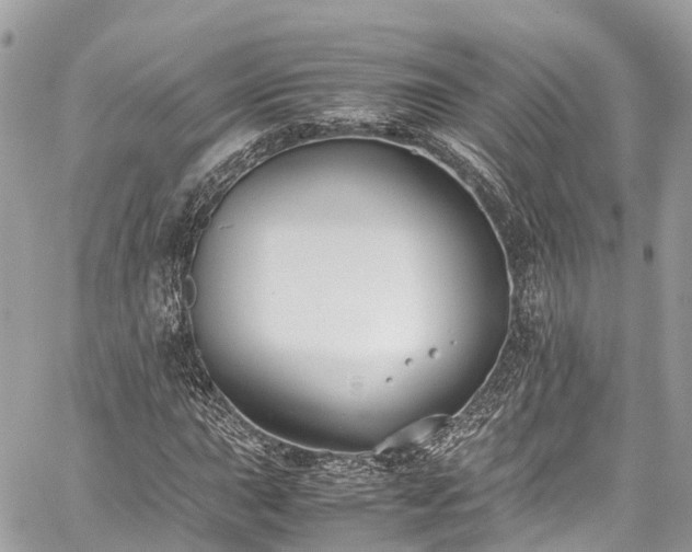 X0000059831015200510241415