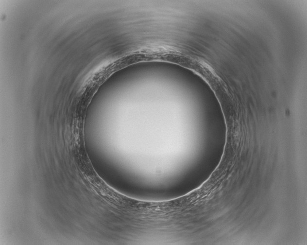 X0000059831016200510241415