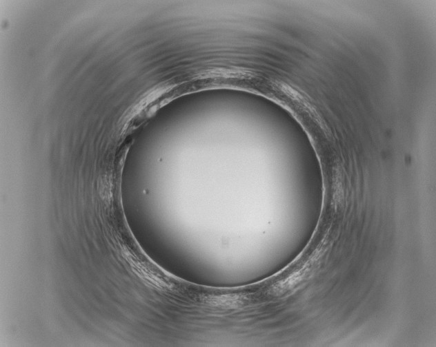 X0000059831017200510241415