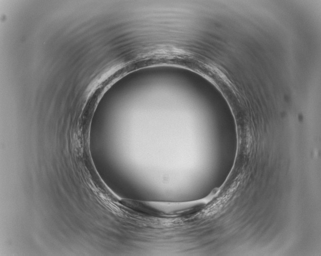 X0000059831018200510241415