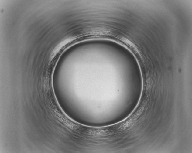 X0000059831019200510241415