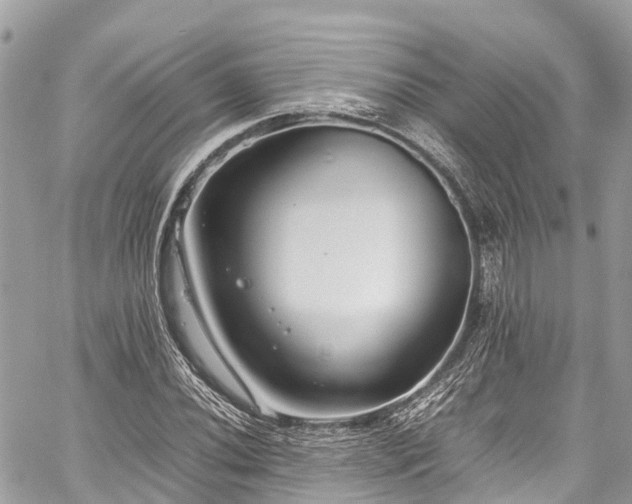 X0000059831020200510241415