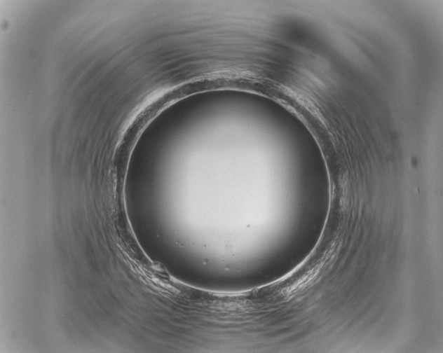 X0000059831021200510241415