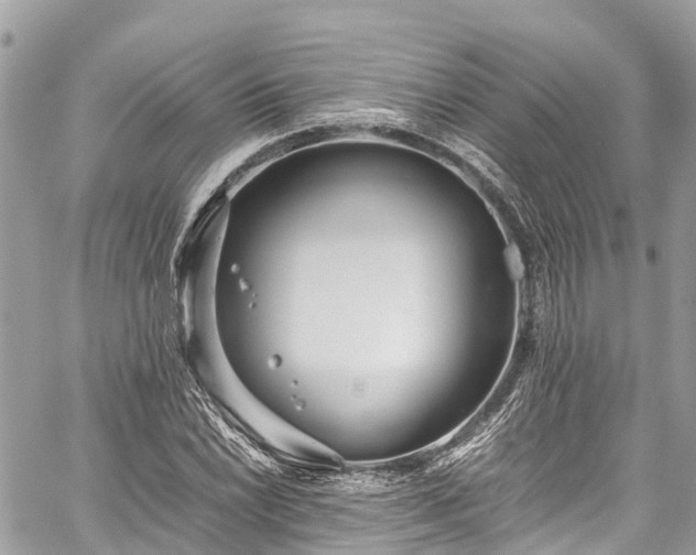 X0000059831022200510241415