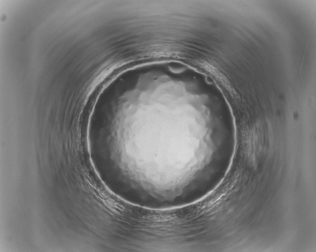 X0000059831023200510241415