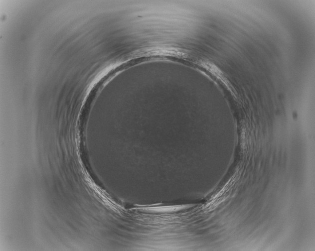 X0000059831024200510241416