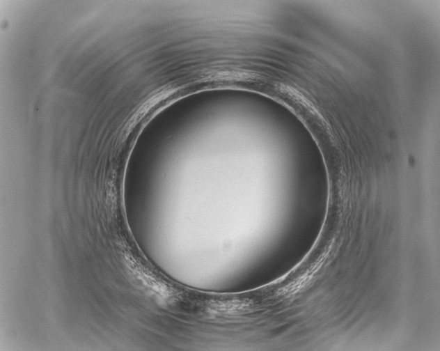 X0000059831025200510241416