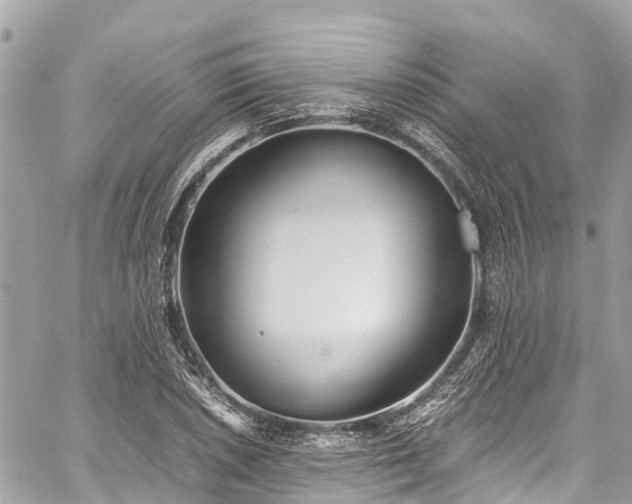 X0000059831026200510241416