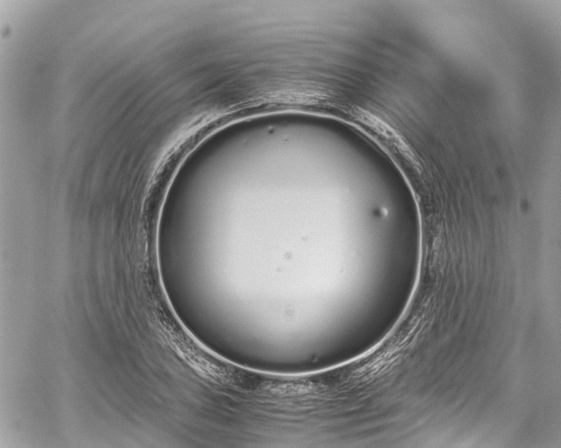 X0000059831027200510241416