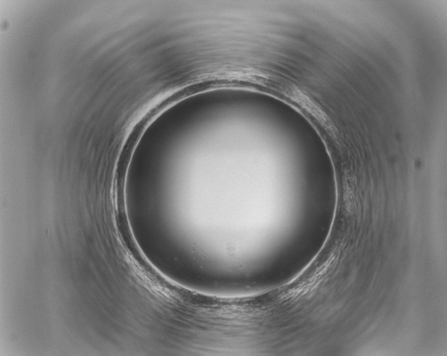 X0000059831028200510241416