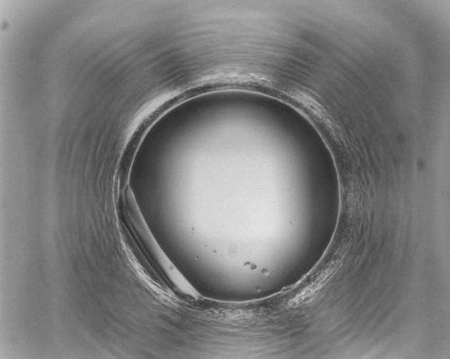 X0000059831030200510241416