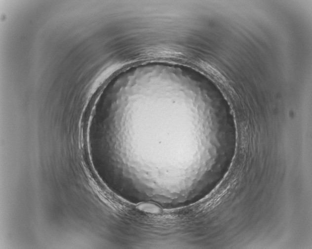 X0000059831031200510241416