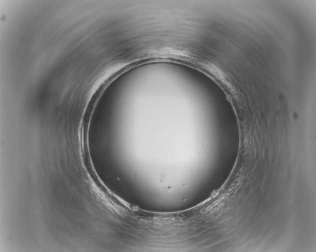 X0000059831032200510241416