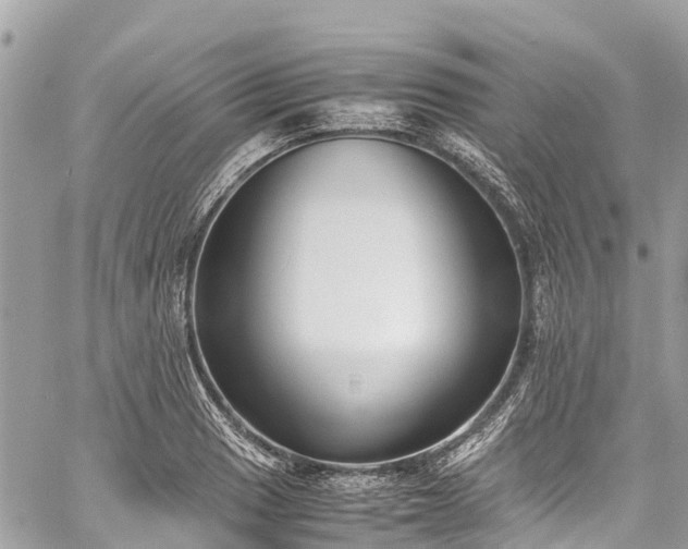 X0000059831033200510241416