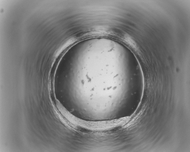 X0000059831034200510241416