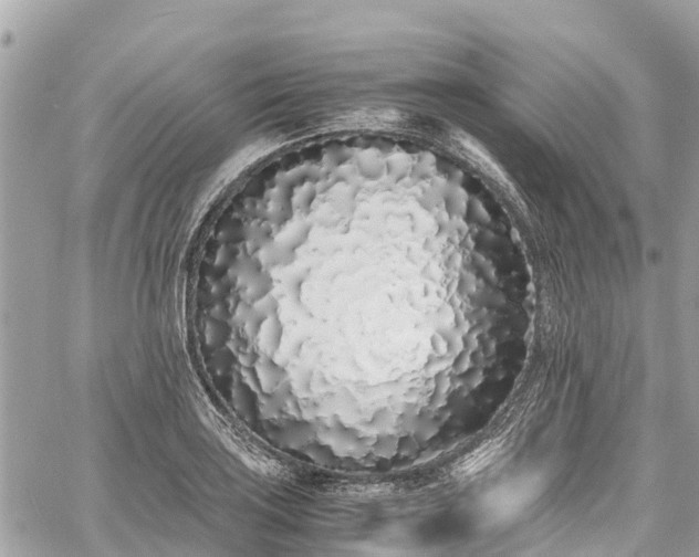 X0000059831035200510241416