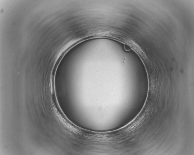 X0000059831036200510241416