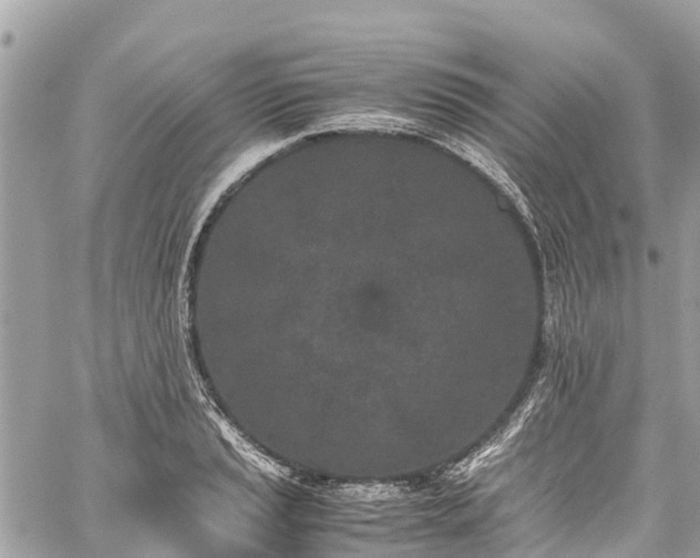 X0000059831037200510241416