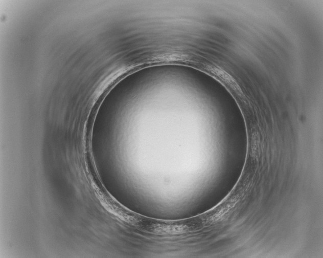 X0000059831039200510241416