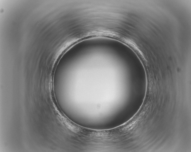 X0000059831040200510241416