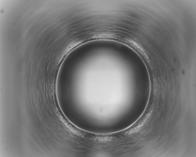 X0000059831041200510241416