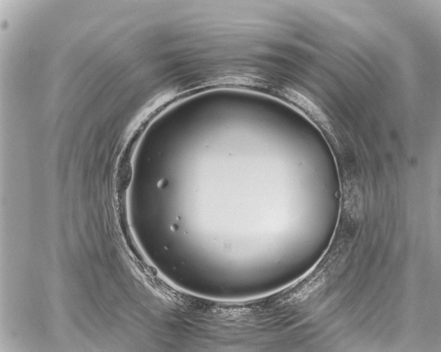 X0000059831043200510241416