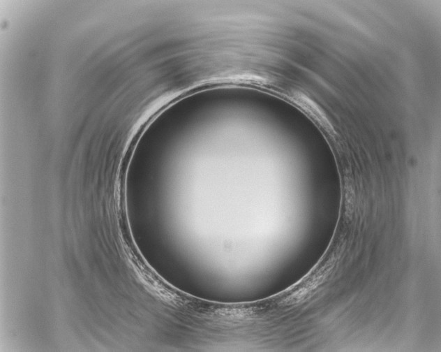 X0000059831044200510241416