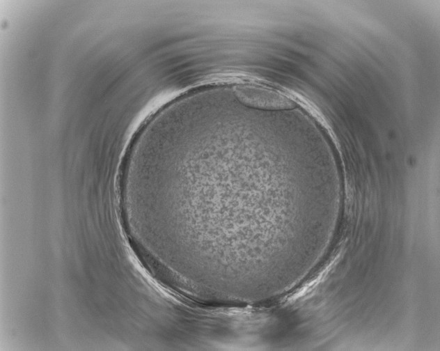 X0000059831045200510241416