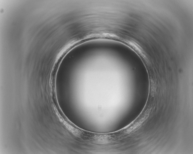 X0000059831046200510241416