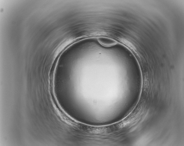 X0000059831047200510241416