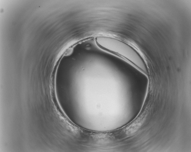 X0000059831048200510241416